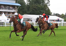 Jockey Club Challenge Charity Race