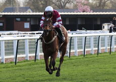 Jockey Club Challenge Charity Race