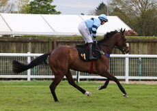 Jockey Club Challenge Charity Race
