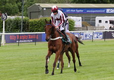 Newton LDP Nov H'cap Hurdle