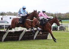 Newton LDP Nov H'cap Hurdle