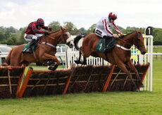 Newton LDP Nov H'cap Hurdle