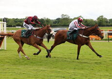 Newton LDP Nov H'cap Hurdle