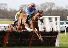 Warwick 12 February 2022