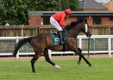 EHB Residential Novices' Hurdle