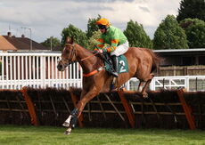 EHB Residential Novices' Hurdle