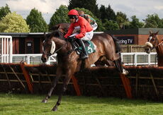 EHB Residential Novices' Hurdle