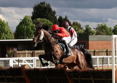 EHB Residential Novices' Hurdle