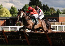 EHB Residential Novices' Hurdle