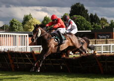 EHB Residential Novices' Hurdle