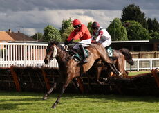 EHB Residential Novices' Hurdle