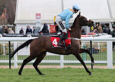 VirginBet Warwick Mares' Hurdle