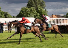 EHB Residential Novices' Hurdle