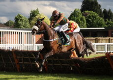 EHB Residential Novices' Hurdle
