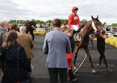 EHB Residential Novices' Hurdle