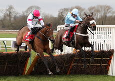 VirginBet Warwick Mares' Hurdle