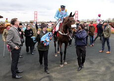 Virgin Bet Warwick Mares' Hurdle