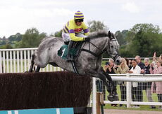 Rosconn Nov Ltd H'cap Chase