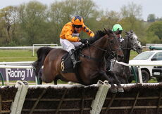 Virgin Bet Warwick Mares' Hurdle