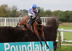 Reign Supreme (Sean Bowen)