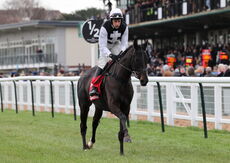 Virgin Bet Kingmaker Novices' Chase