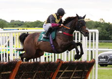 Ainscough Strategic Land Mares' H'cap Hurdle