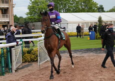 Racing TV .com Amateur Riders H'cap Hurdle.