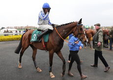 Starsky (Mr Tristan Durrell)