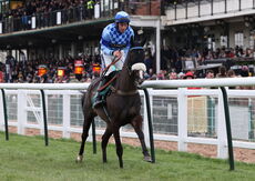 Virgin Bet Handicap Hurdle