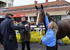 Virgin Bet Handicap Hurdle