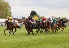 Howkins & Harrison H'cap Chase