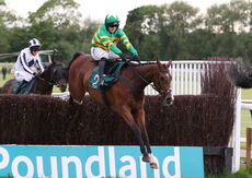 Gulliver Collonges (Jonjo O'Neill Jr)