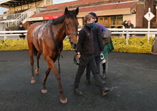 Racing TV .com Amateur Riders H'cap Hurdle.