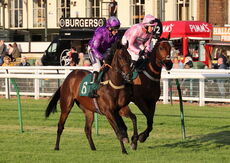 Myton Hospices NH Flat Race