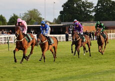 Myton Hospices NH Flat Race