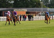 Myton Hospices NH Flat Race