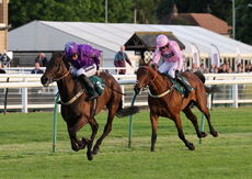 Myton Hospices NH Flat Race