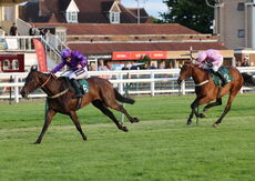 Myton Hospices NH Flat Race