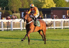 Racing TV.com Maiden Open NH Flat Race