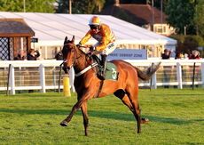 Russian Ruler (Nico de Boinville)