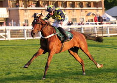 Surrey Quest (James Bowen)