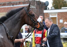Myton Hospices NH Flat Race