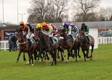 Virgin Bet NH Flat Race