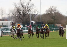Virgin Bet NH Flat Race