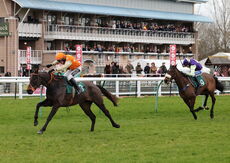 Virgin Bet NH Flat Race