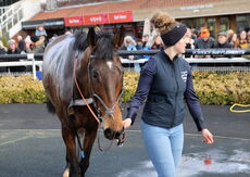 Racing TV .com Amateur Riders H'cap Hurdle.