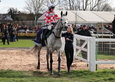 Old Gold Racing Novices' Handicap Chase