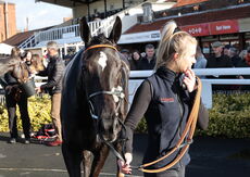 Old Gold Racing Novices' Handicap Chase