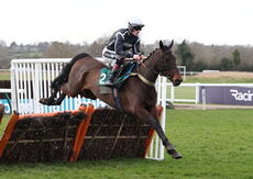 British Stallion Studs EBF 'NH' Nov Hurdle