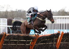 British Stallion Studs EBF 'NH' Nov Hurdle